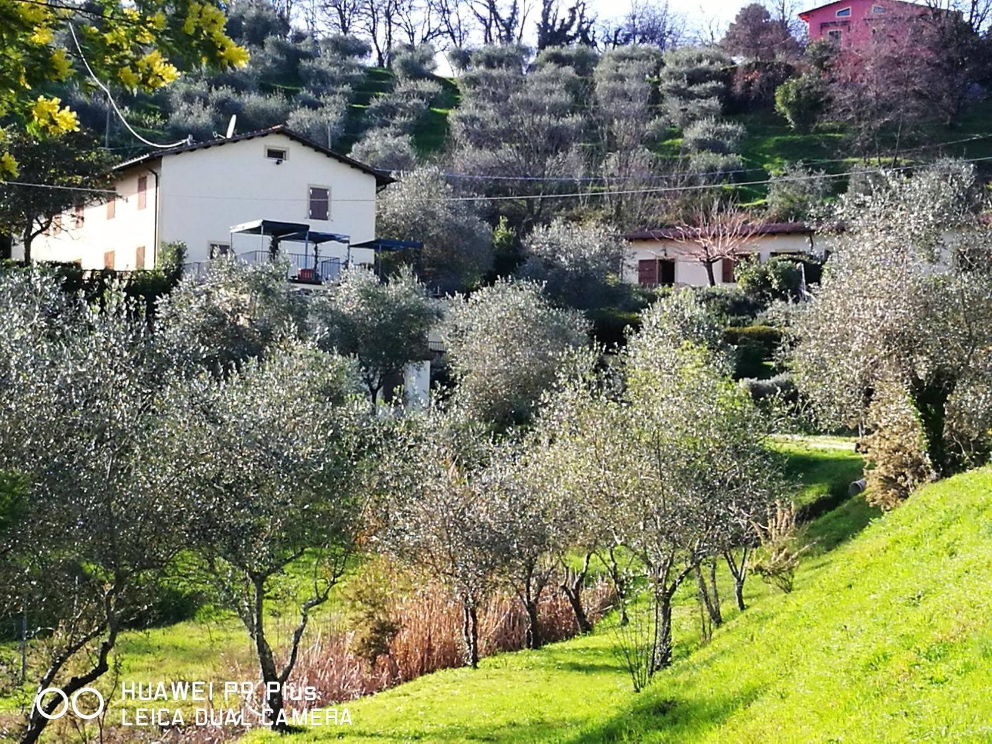 Tenuta Degli Obizzi Монтекарло Екстериор снимка